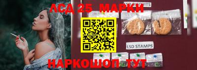 PSILOCYBIN Нальчик