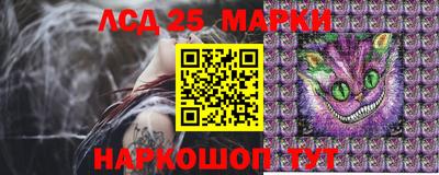 PSILOCYBIN Нальчик